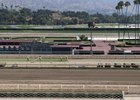 Santa Anita turf course undergoes annual renovation