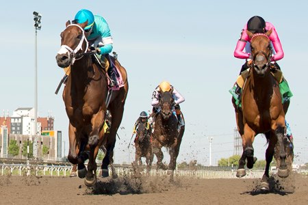 Racing at Woodbine