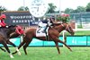 Lagynos wins the 2026 Wise Dan Stakes at Churchill Downs