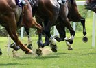 Racing Scene - Churchill Downs - 060726