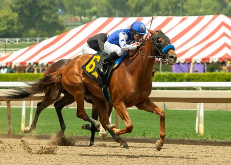 Mizumi, Marjoram Set to Tangle in Summertime Oaks