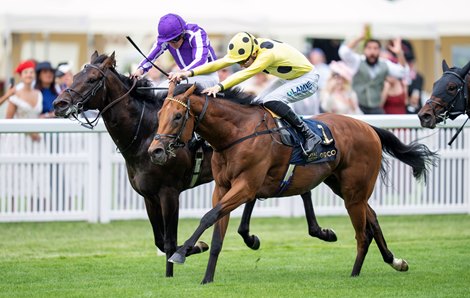 Bow Echo, Gstaad Meet Again in Sussex Stakes