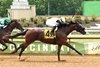 Techwerkian, Maiden Win, June 12 2026, Belterra Park
First winner for Olympiad