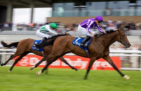 Group 2-winning  Sun Goddess is a Goffs graduate