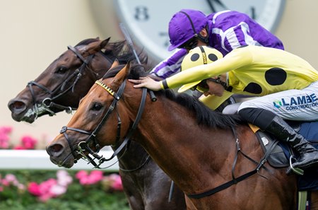 Bow Echo (outside) edges Gstaad to win the St. James's Palace Stakes at the Royal Ascot meeting at Ascot Racecourse