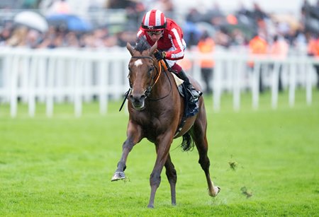 Bay City Roller wins the Coronation Cup Stakes at Epsom Downs Racecourse