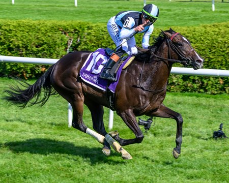 Roja wins the Intercontinental Stakes at Saratoga Race Course