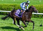 Roja with Irad Ortiz Jr. wins the Intercontinental (G2T)  in Saratoga Springs, N.Y., on June 4, 2026. 
