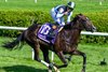 Roja with Irad Ortiz Jr. wins the Intercontinental (G2T)  in Saratoga Springs, N.Y., on June 4, 2026. 
