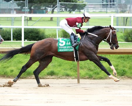Magnitude wins the Stephen Foster Stakes at Churchill Downs
