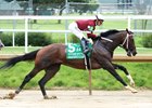 Magnitude wins the 2026 Stephen Foster Stakes at Churchill Downs
