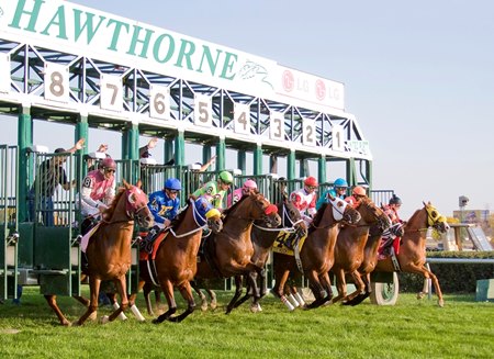 Racing at Hawthorne Race Course