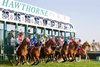 Hawthorne Race Course
