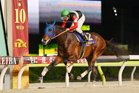 Finger wins the Tokyo Derby at Oi Racecourse
