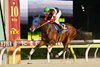 Finger wins the 2026 Tokyo Derby at Oi Racecourse
ridden by Keita Tosaki, trained by Hiroyasu Tanaka, and owned by M's Racing