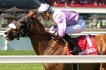 Miss Vyvyanne wins the Highlander Stakes at Woodbine