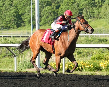 Squad Goals wins the Tom Ridge Stakes at Presque Isle Downs