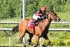 Squad Goals wins the 2026 Tom Ridge Stakes at Presque Isle Downs