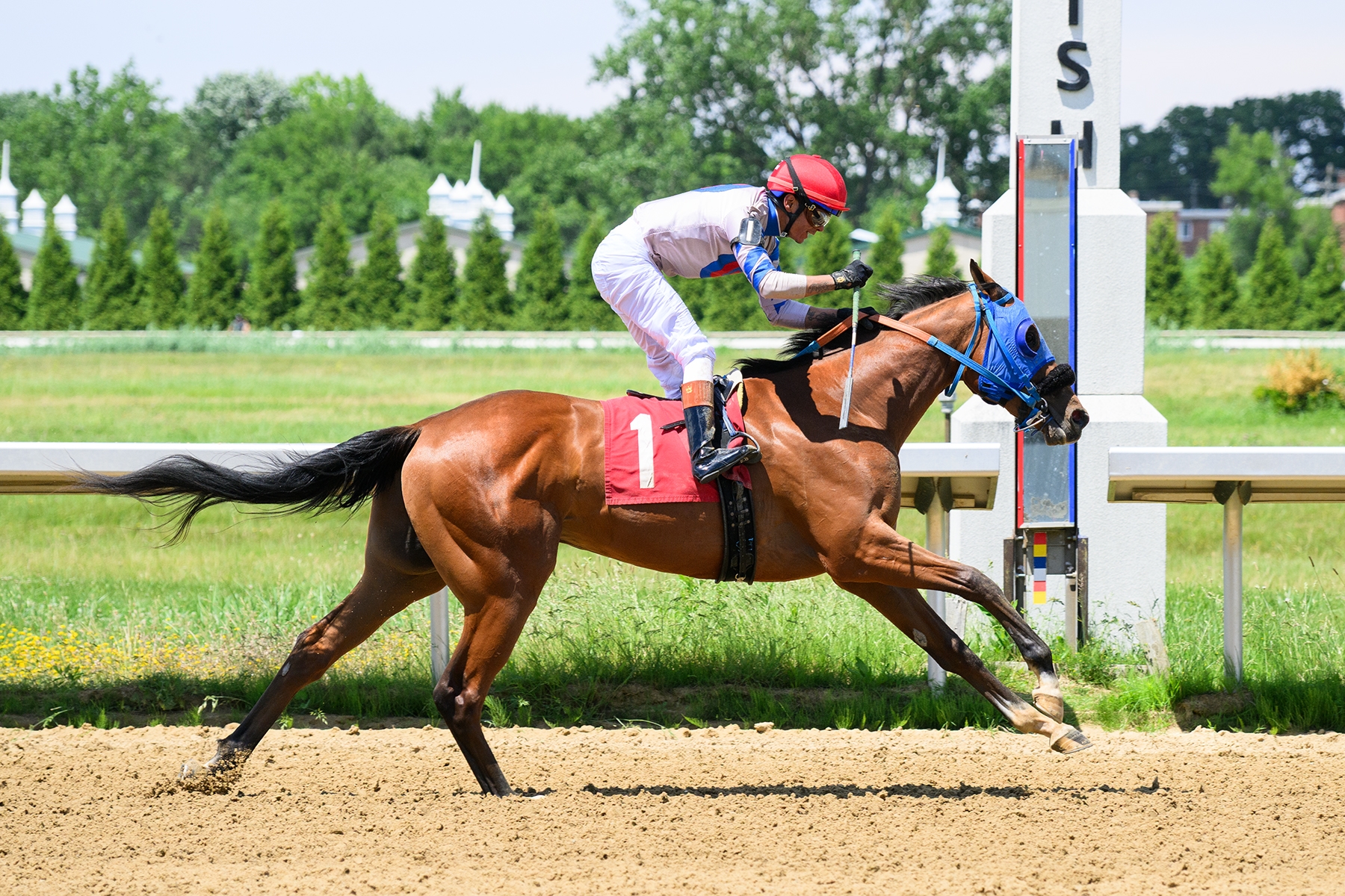 Debut runner Book Value Is Mandaloun's First Winner - BloodHorse