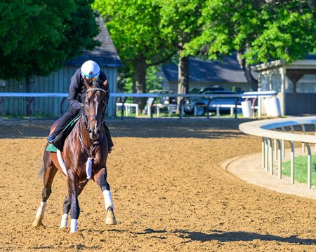 Sovereignty trains this summer at Saratoga Race Course