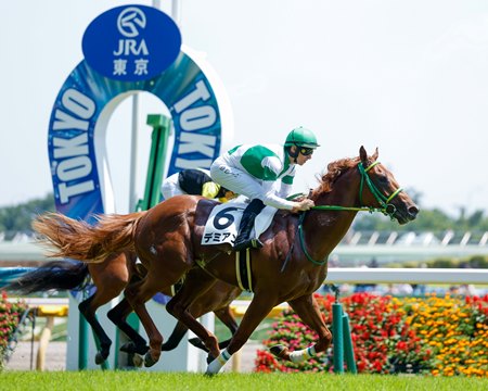 Demian wins a maiden race at Tokyo Racecourse