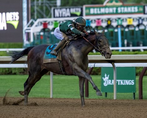 Golden Tempo Quiets Doubters in Belmont Stakes