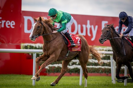 Benvenuto Cellini wins the Irish Derby at the Curragh