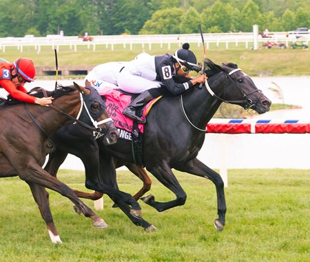 Hark Theangelssing wins the Stormy Blues Stakes at Laurel Park