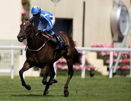 Venetian Sun wins the Commonwealth Cup Stakes at Ascot Racecourse