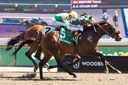  Brachetto wins the Marine Stakes at Woodbine