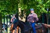 Bill Mott  outside his barn, preparing for the next set. 
Training in Saratoga Springs, N.Y., on June 4, 2026. 
