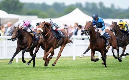 Giavellotto (shadow roll) and Kalpana (pink hat) battle to the wire in the Hardwicke Stakes at Ascot Racecourse