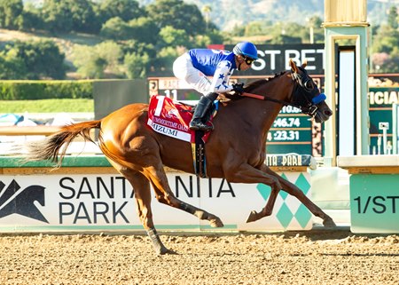 Mizumi rolls to victory in the Summertime Oaks at Santa Anita Park