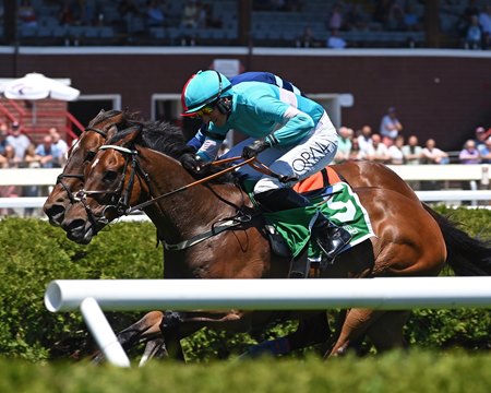 Jimmy P (inside) wins the Beverly R. Steinman Hurdle Handicap at Saratoga Race Course