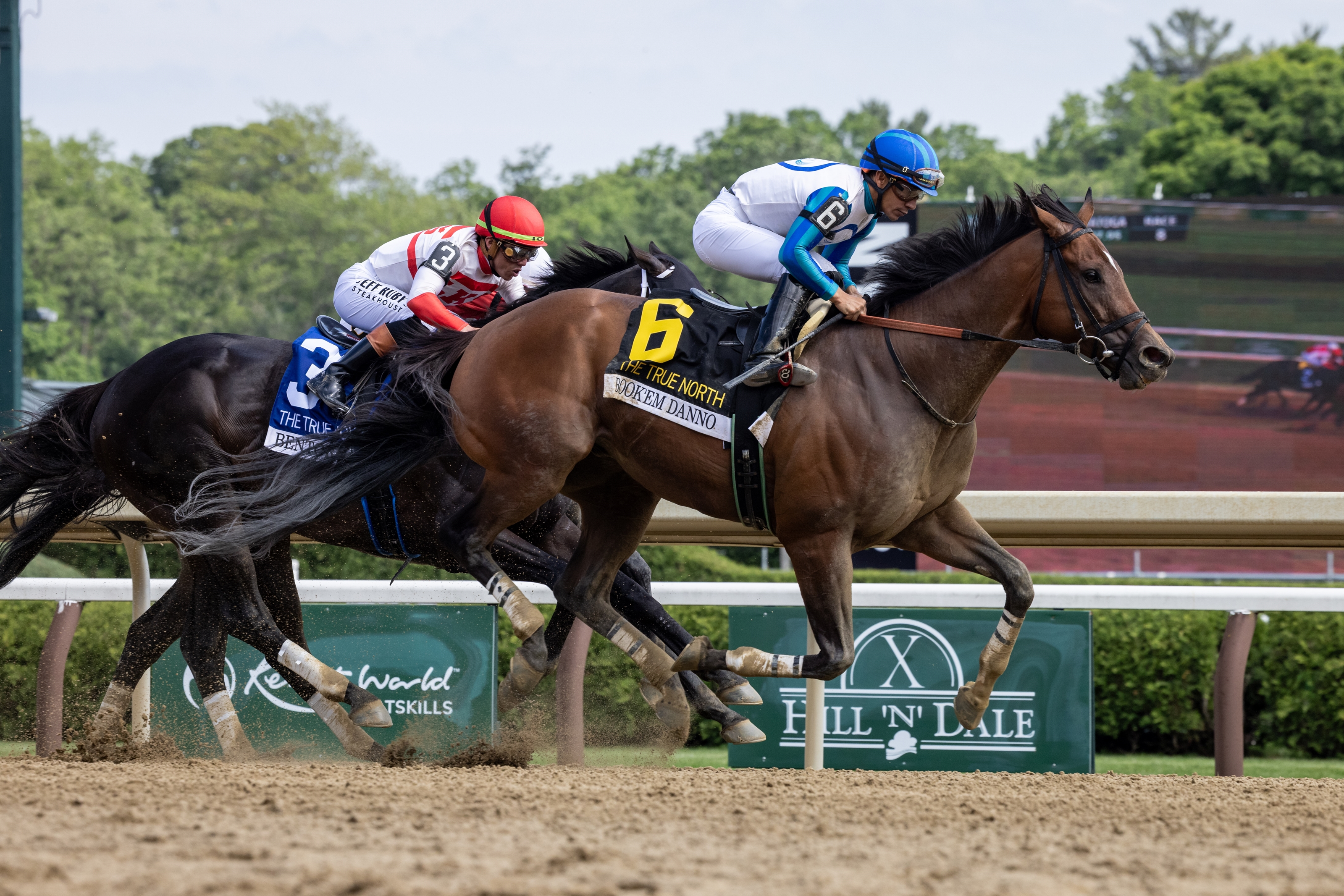 Book'em Danno wins the True North Stakes at Saratoga Race Course