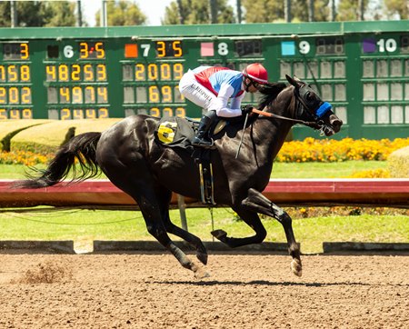 Faran breaks his maiden at Los Alamitos Race Course