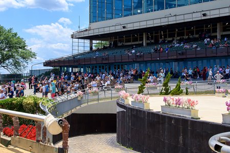 Aqueduct Racetrack