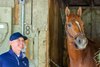 Chad Brown with Emerging Market
Training at Saratoga and the Oklahoma track in Saratoga Springs, N.Y., on June 3, 2026. 
