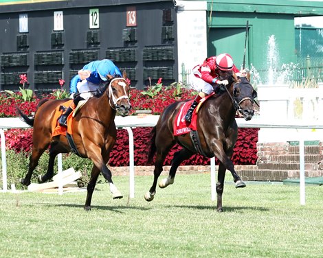 Burnham Square Chases Arlington Million Glory