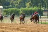 Virginia-bred Secured Freedom and jockey Joel Rosario, red cap, win the $100,000 Affirmed Stakes Monday, June 15, 2026, at Santa Anita Park, Arcadia, CA.  The three-year-old son of Practical Joke is owned by Amestoy, Amestoy Jr. and Beasley and trained by Tim Yakteen.  Benoit Photo
