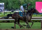 Golden Tempo with Jose Ortiz wins the Belmont S. Presented by NYRA Bets (G1) at Saratoga in Saratoga Springs, N.Y., on June 6, 2026.