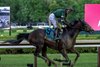 Golden Tempo with Jose Ortiz wins the Belmont S. Presented by NYRA Bets (G1) at Saratoga in Saratoga Springs, N.Y., on June 6, 2026.