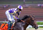 Englishman with Jose Ortiz wins the Woody Stephens (G1) at Saratoga in Saratoga Springs, N.Y., on June 6, 2026.