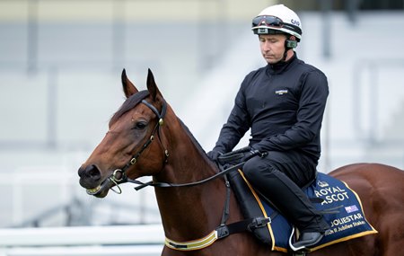 Joliestar at Royal Ascot
