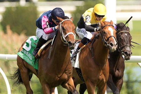 Racing in Ontario at Woodbine