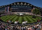 The Royal Procession arrives in the parade ring
Royal Ascot.
Photo: Patrick McCann/Racing Post
19.06.2026