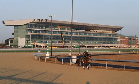 Professor Proton trains on the new Belmont Park Tapeta
