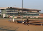 Professor Proton and Ovechkin (gray) - Belmont Park - 062926