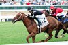 Lagynos wins the 2026 Wise Dan Stakes at Churchill Downs
