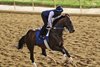 Magnitude - 06-25-26 - Gallop - Churchill Downs 